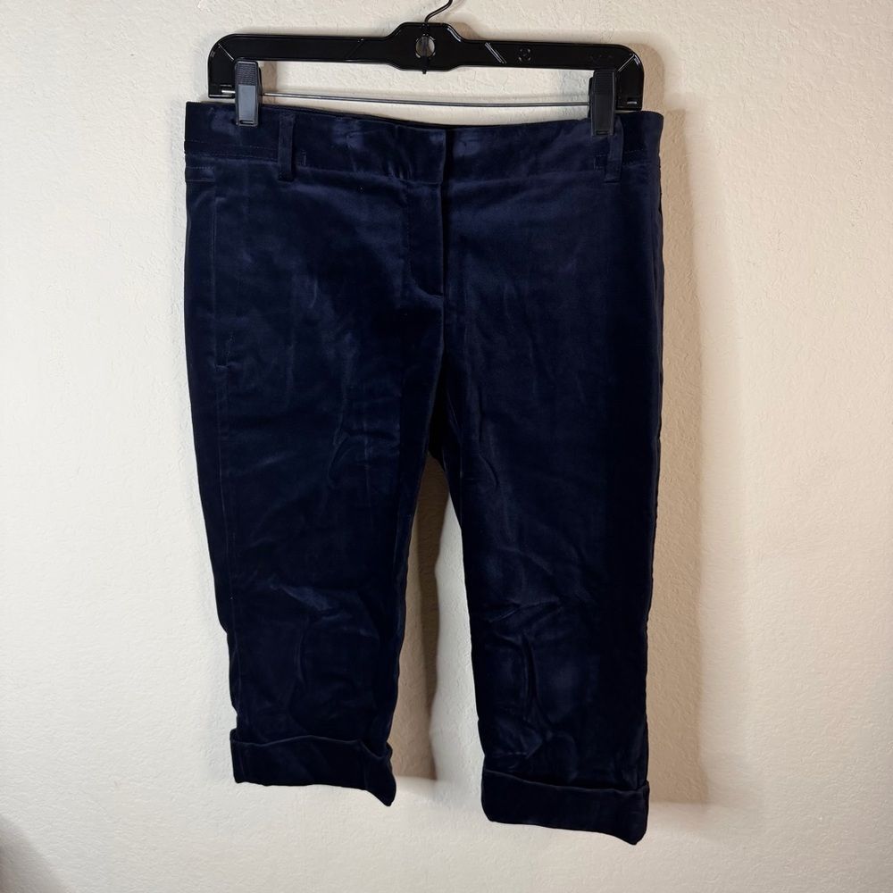 Theory Midnight Velvet Cropped Trousers Sz 6
